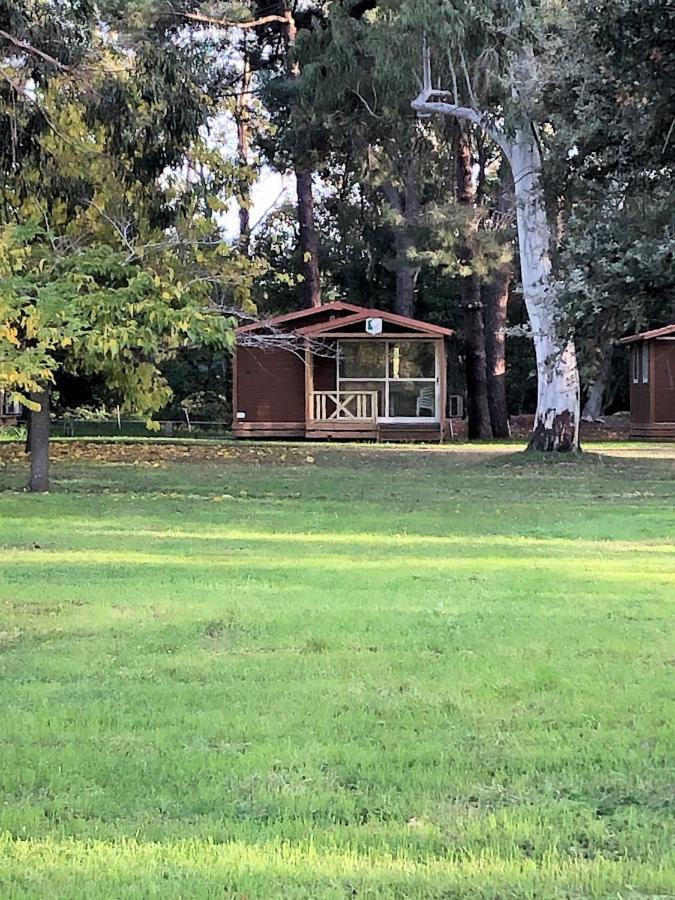 Camping L'Oso بورتو فيكشْيو المظهر الخارجي الصورة