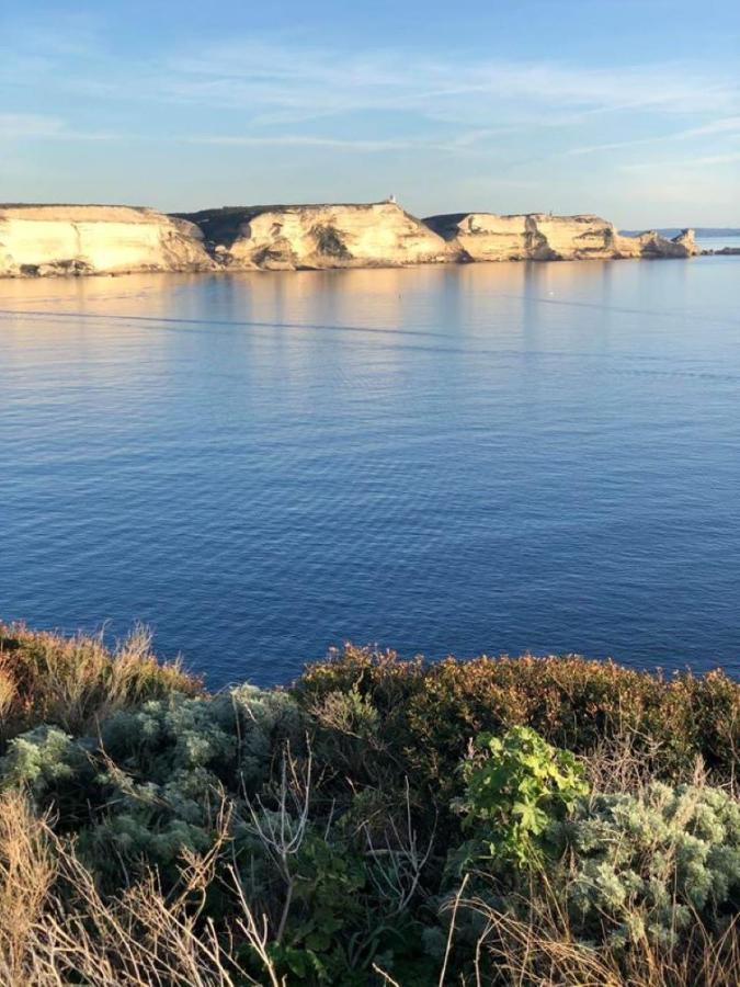 Camping L'Oso بورتو فيكشْيو المظهر الخارجي الصورة