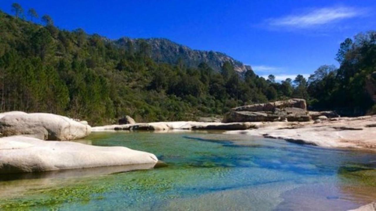 Camping L'Oso بورتو فيكشْيو المظهر الخارجي الصورة